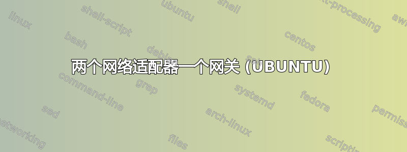 两个网络适配器一个网关 (UBUNTU)