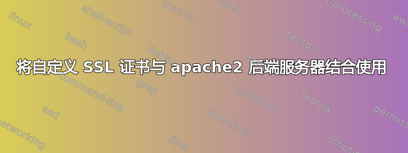 将自定义 SSL 证书与 apache2 后端服务器结合使用