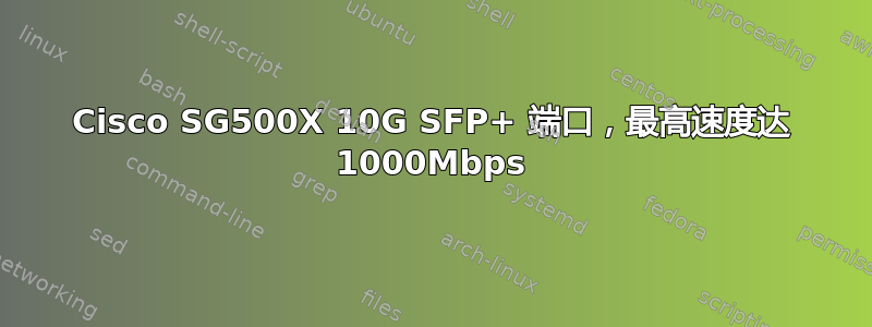 Cisco SG500X 10G SFP+ 端口，最高速度达 1000Mbps