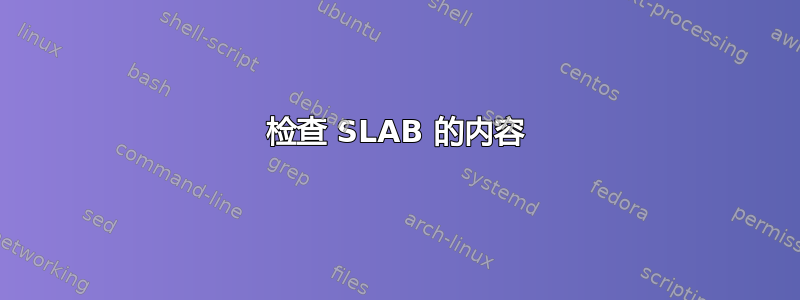 检查 SLAB 的内容