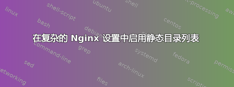 在复杂的 Nginx 设置中启用静态目录列表