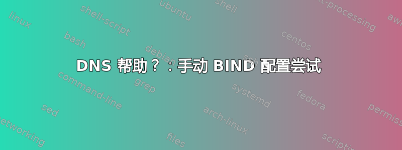 DNS 帮助？：手动 BIND 配置尝试