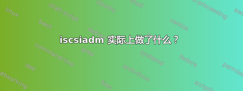 iscsiadm 实际上做了什么？