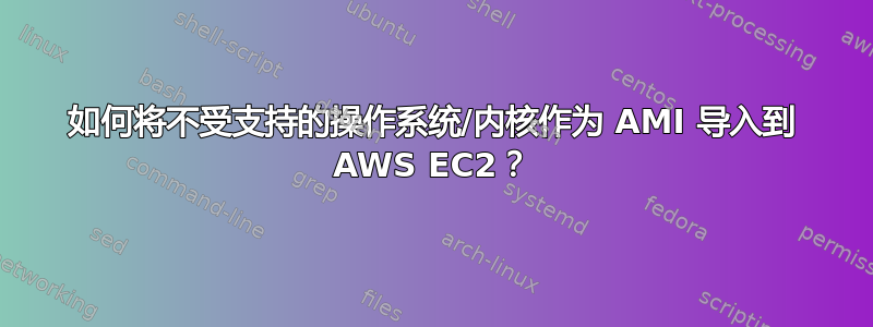 如何将不受支持的操作系统/内核作为 AMI 导入到 AWS EC2？