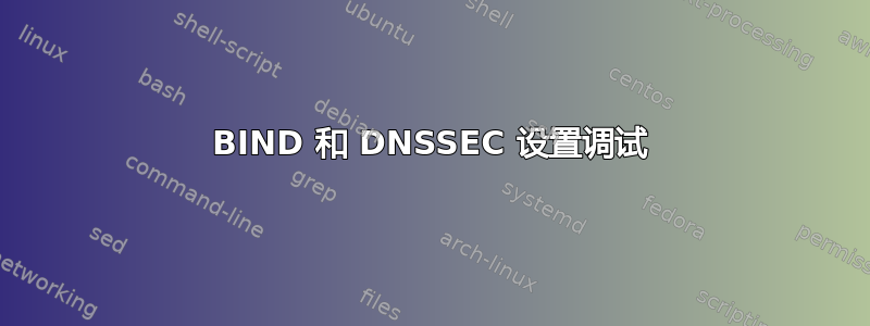 BIND 和 DNSSEC 设置调试