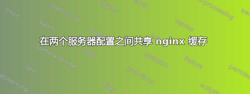 在两个服务器配置之间共享 nginx 缓存