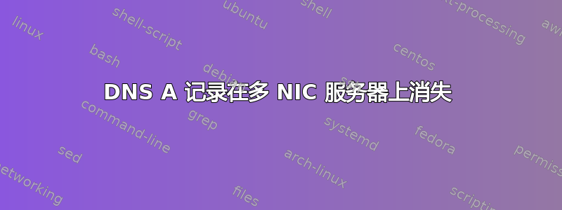 DNS A 记录在多 NIC 服务器上消失