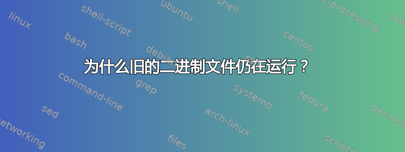 为什么旧的二进制文件仍在运行？ 