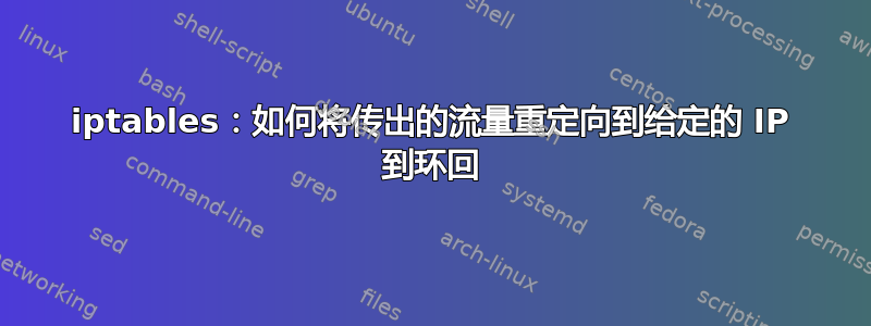 iptables：如何将传出的流量重定向到给定的 IP 到环回