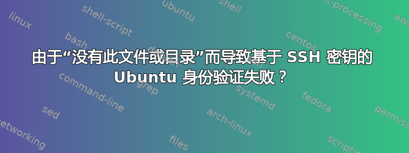 由于“没有此文件或目录”而导致基于 SSH 密钥的 Ubuntu 身份验证失败？