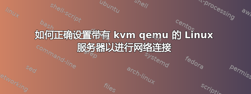 如何正确设置带有 kvm qemu 的 Linux 服务器以进行网络连接