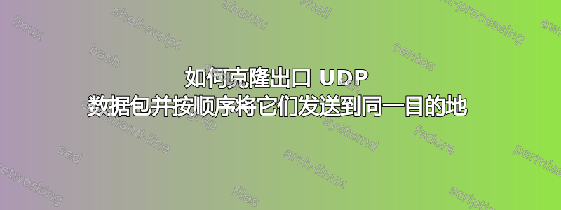 如何克隆出口 UDP 数据包并按顺序将它们发送到同一目的地