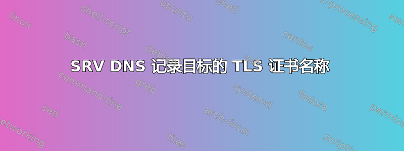 SRV DNS 记录目标的 TLS 证书名称