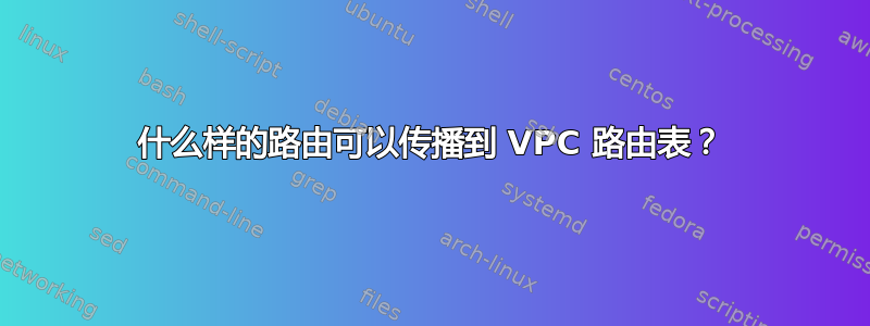 什么样的路由可以传播到 VPC 路由表？