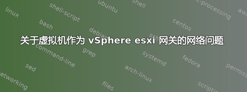 关于虚拟机作为 vSphere esxi 网关的网络问题