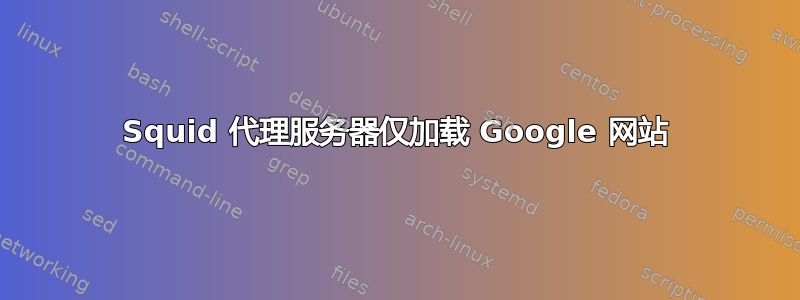 Squid 代理服务器仅加载 Google 网站