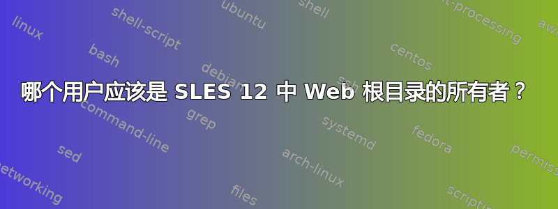 哪个用户应该是 SLES 12 中 Web 根目录的所有者？