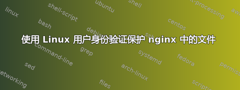 使用 Linux 用户身份验证保护 nginx 中的文件