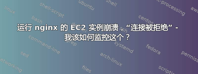 运行 nginx 的 EC2 实例崩溃，“连接被拒绝” - 我该如何监控这个？