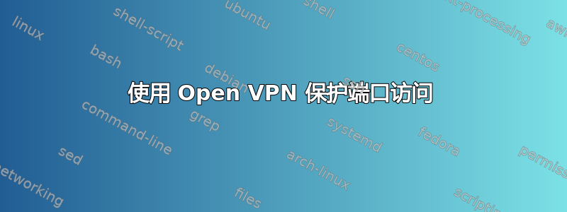 使用 Open VPN 保护端口访问