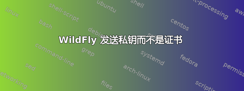 WildFly 发送私钥而不是证书