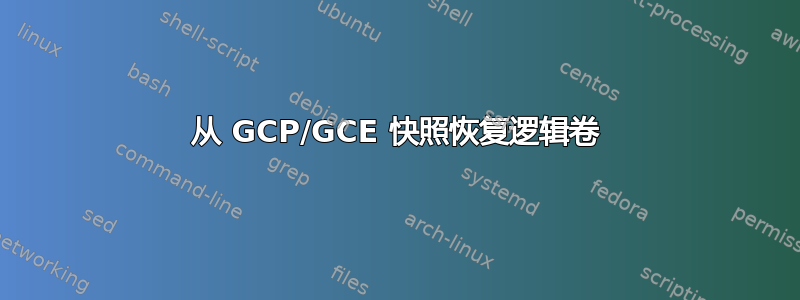 从 GCP/GCE 快照恢复逻辑卷