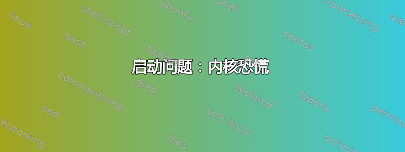 启动问题：内核恐慌