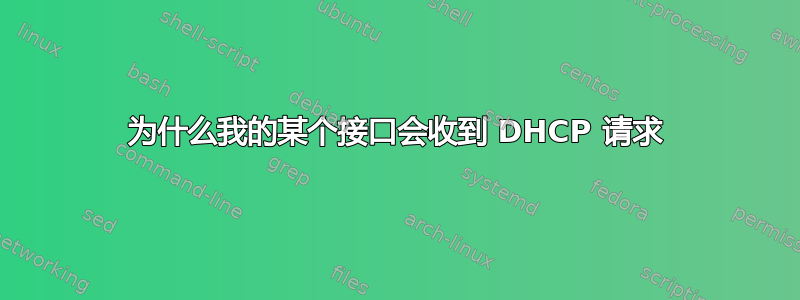 为什么我的某个接口会收到 DHCP 请求