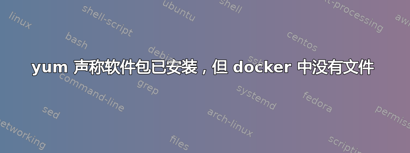 yum 声称软件包已安装，但 docker 中没有文件