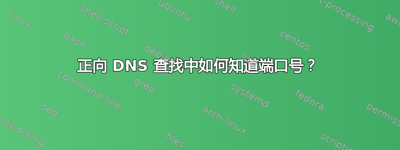 正向 DNS 查找中如何知道端口号？