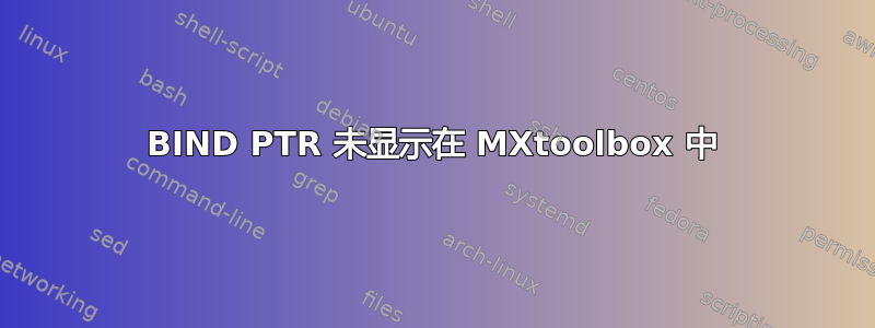 BIND PTR 未显示在 MXtoolbox 中