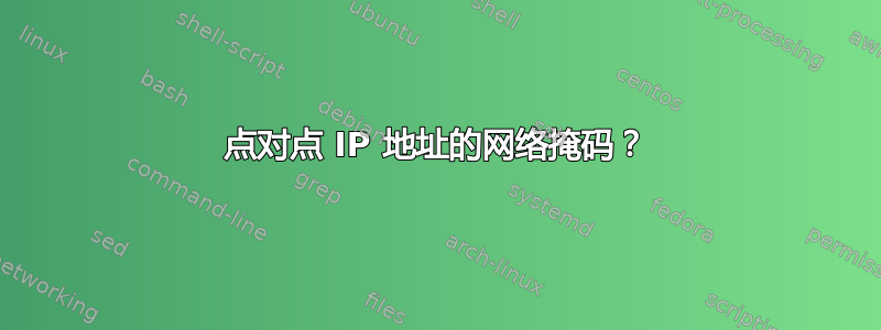 点对点 IP 地址的网络掩码？