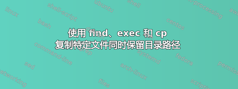 使用 find、exec 和 cp 复制特定文件同时保留目录路径