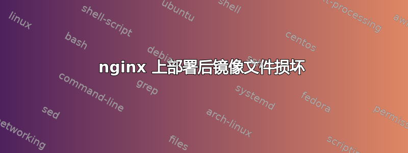 nginx 上部署后镜像文件损坏