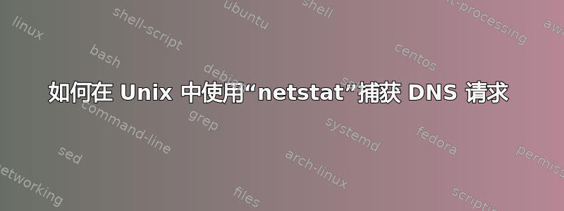 如何在 Unix 中使用“netstat”捕获 DNS 请求