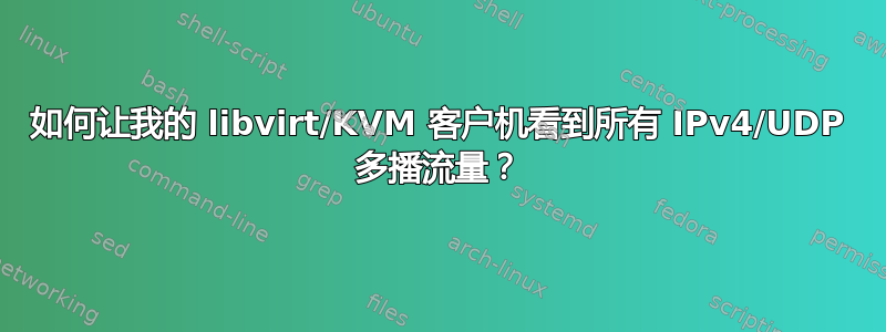 如何让我的 libvirt/KVM 客户机看到所有 IPv4/UDP 多播流量？