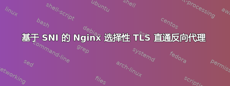 基于 SNI 的 Nginx 选择性 TLS 直通反向代理