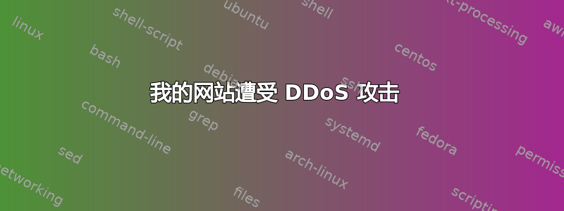 我的网站遭受 DDoS 攻击 