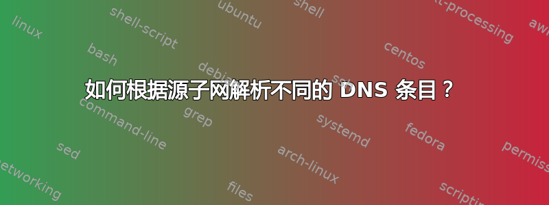 如何根据源子网解析不同的 DNS 条目？