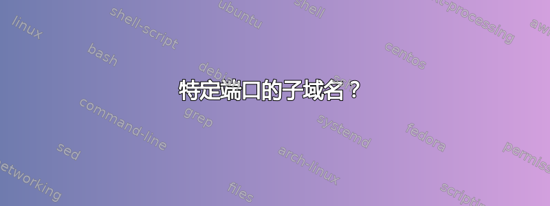 特定端口的子域名？