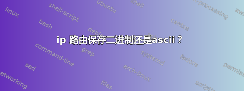 ip 路由保存二进制还是ascii？