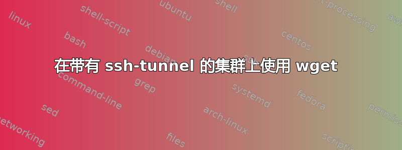 在带有 ssh-tunnel 的集群上使用 wget 