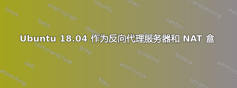 Ubuntu 18.04 作为反向代理服务器和 NAT 盒