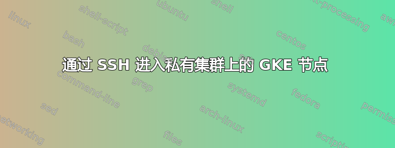 通过 SSH 进入私有集群上的 GKE 节点