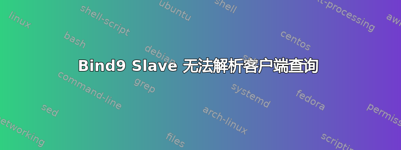 Bind9 Slave 无法解析客户端查询