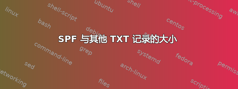 SPF 与其他 TXT 记录的大小