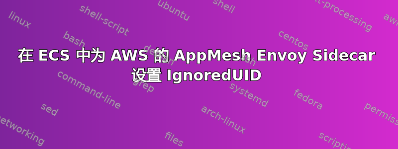 在 ECS 中为 AWS 的 AppMesh Envoy Sidecar 设置 IgnoredUID