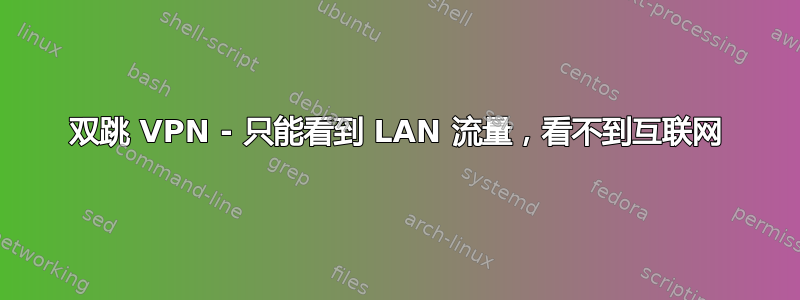 双跳 VPN - 只能看到 LAN 流量，看不到互联网