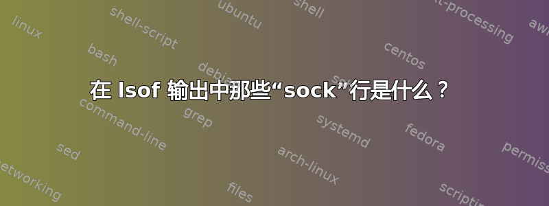 在 lsof 输出中那些“sock”行是什么？