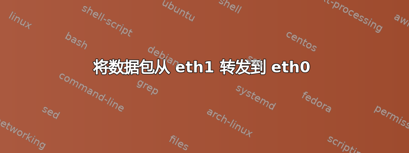 将数据包从 eth1 转发到 eth0